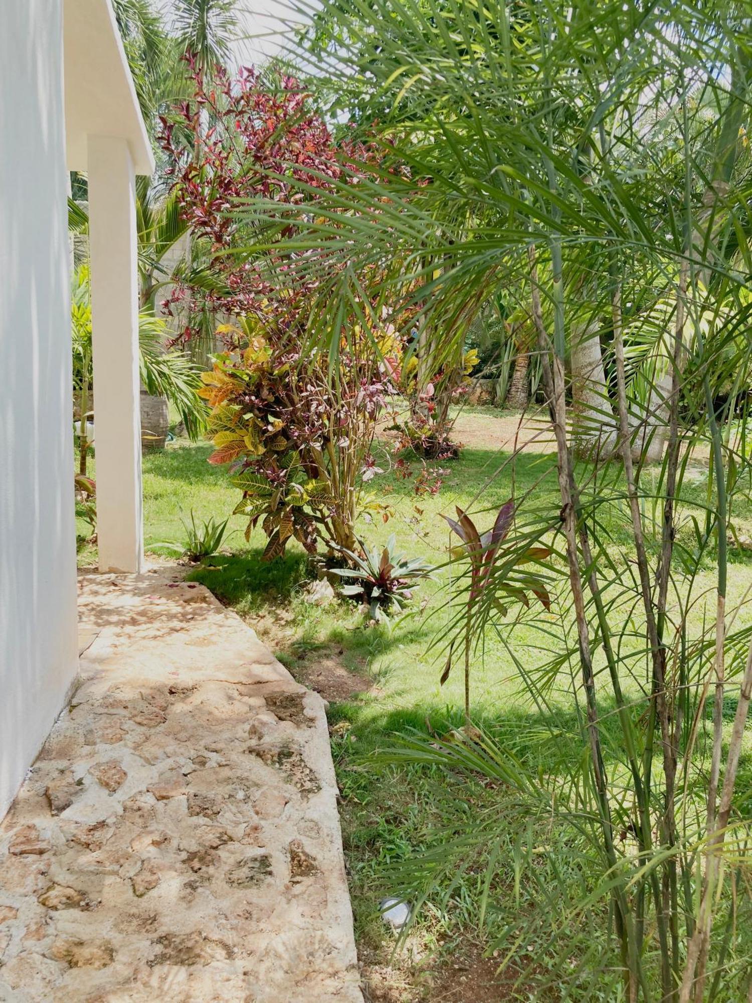 Green Paradise Leona Vicario Exterior foto